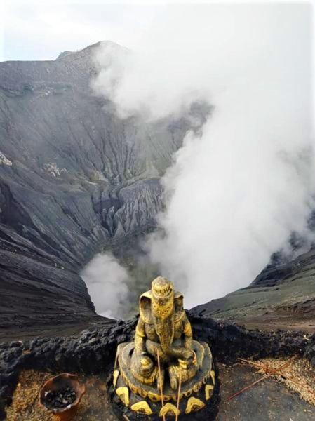 Good Karma Bromo Guesthouse Ngoại thất bức ảnh