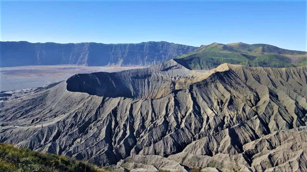 Good Karma Bromo Guesthouse Ngoại thất bức ảnh