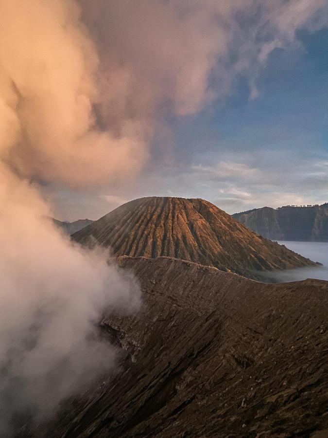 Good Karma Bromo Guesthouse Ngoại thất bức ảnh