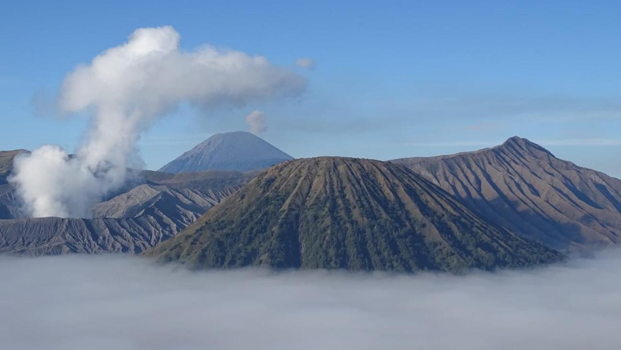 Good Karma Bromo Guesthouse Ngoại thất bức ảnh